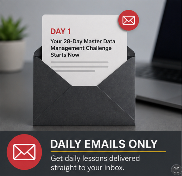 The 28-Day Master Data Management Challenge