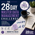 FREE SAMPLE - The 28 Day Master Data Management Challenge - First Chapter